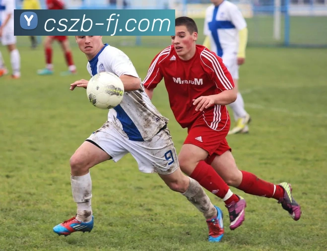 彩神争霸APP 体育赛事宣传图